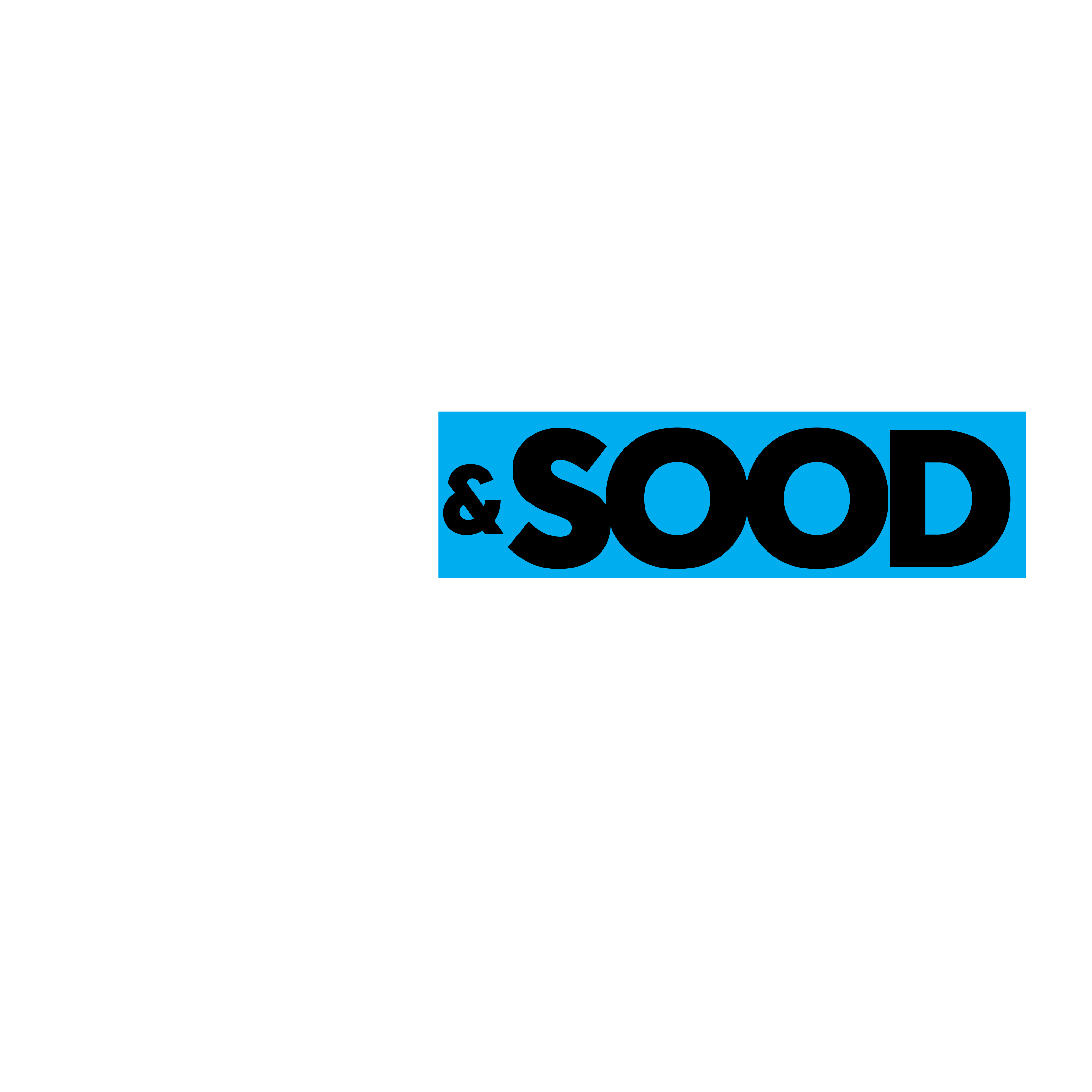 Beg & Sood Commercial — Sales, Leasing, Investments